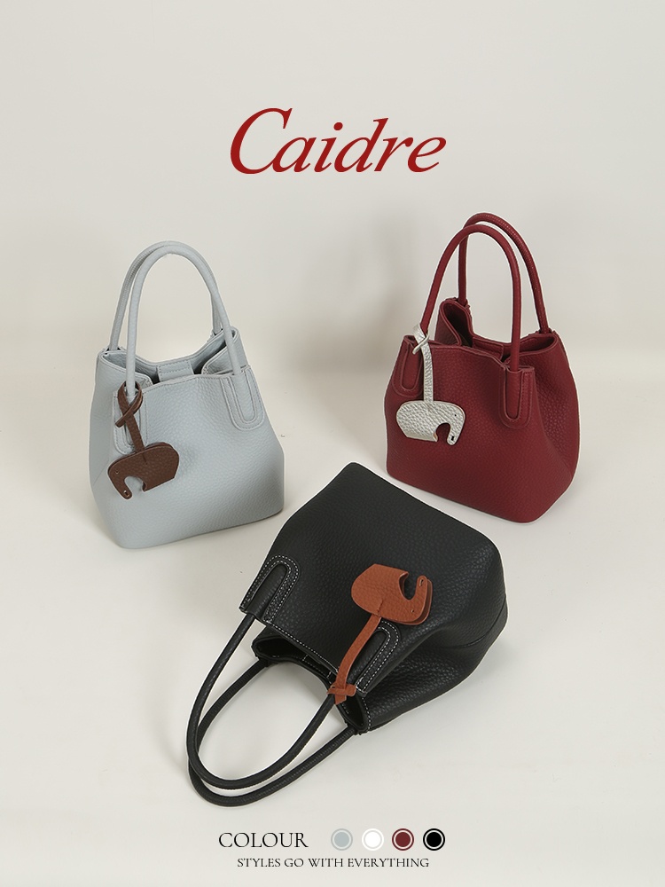Caidre Luxury Tote Bag 2026 Ne - Luxury Bags Japan recension och pris